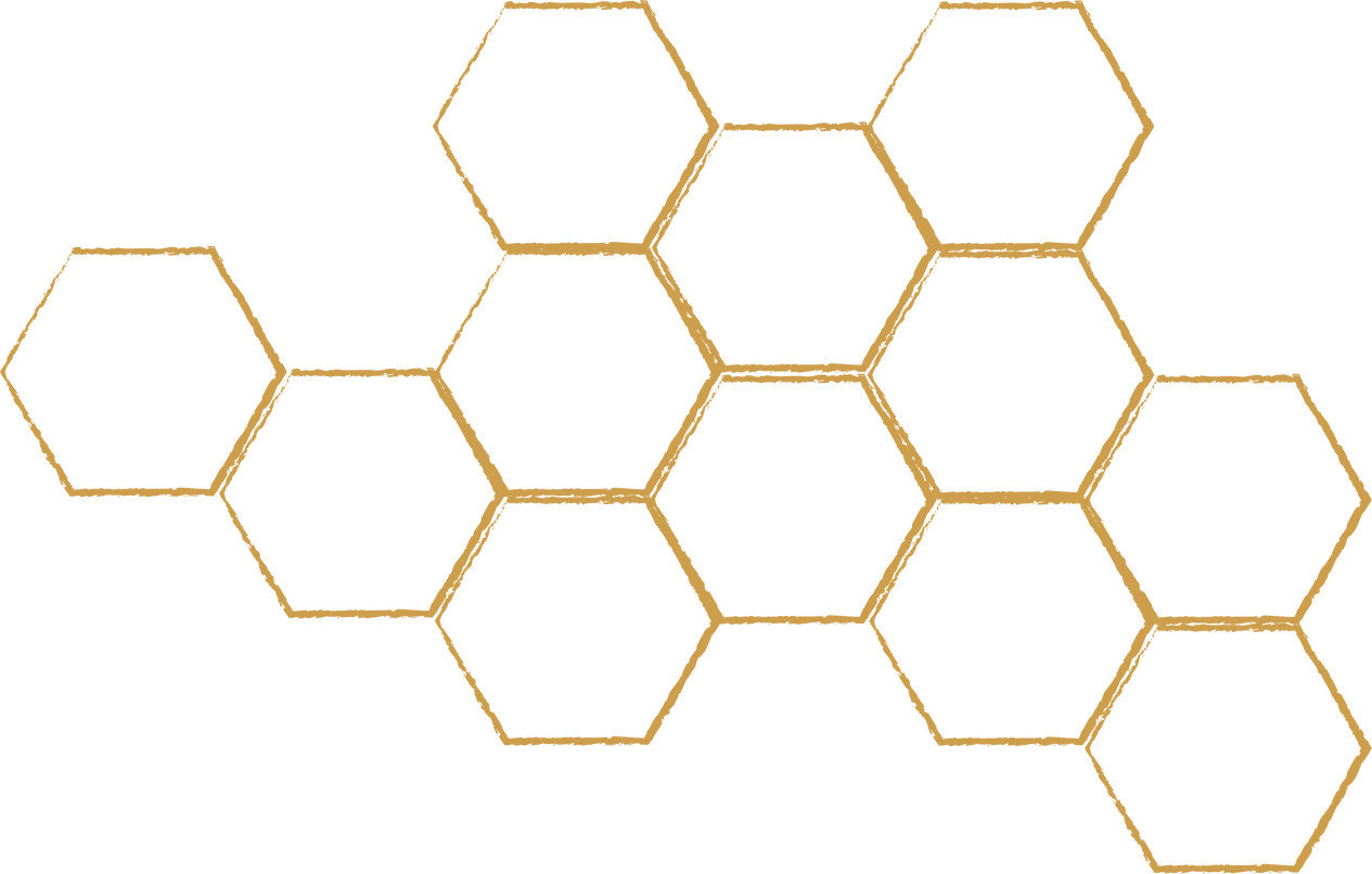 honeycomb vector